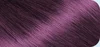 สีม่วง