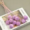 lavanda rosa