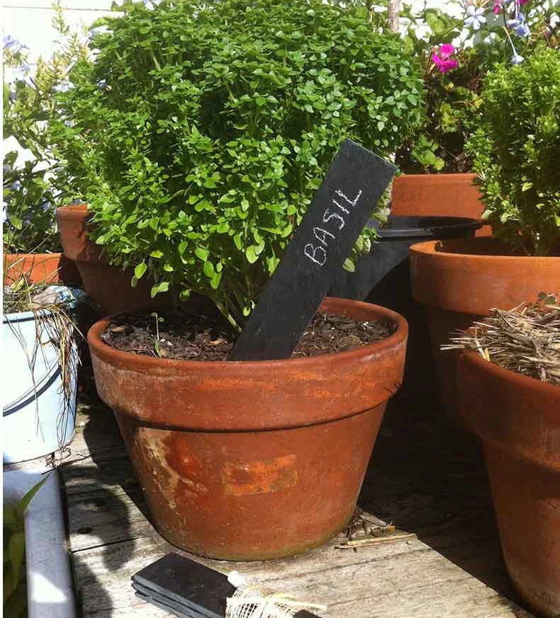 Dd1186 In Stock Slate Stakes Marker Name Pot Tags Greenhouse Garden Label Flower Sign Labels
