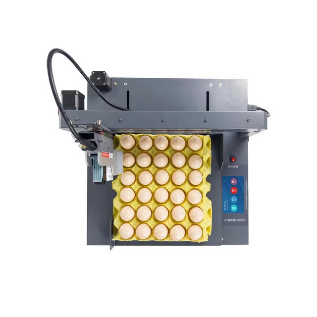 Automatic egg inkjet printer machine with conveyor belt egg date printer for sale