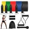 Juego de correas TPE de 11 piezas, 150 lbs (caja de color)