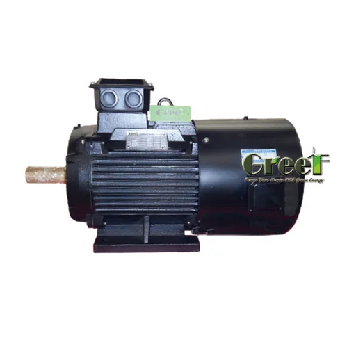 10KW 100KW Low RPM Magnet Alternator Free Energy Magnetic 发电机 3 Phase AC Permanent-Magnet 2