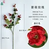 Rosa, rojo vino