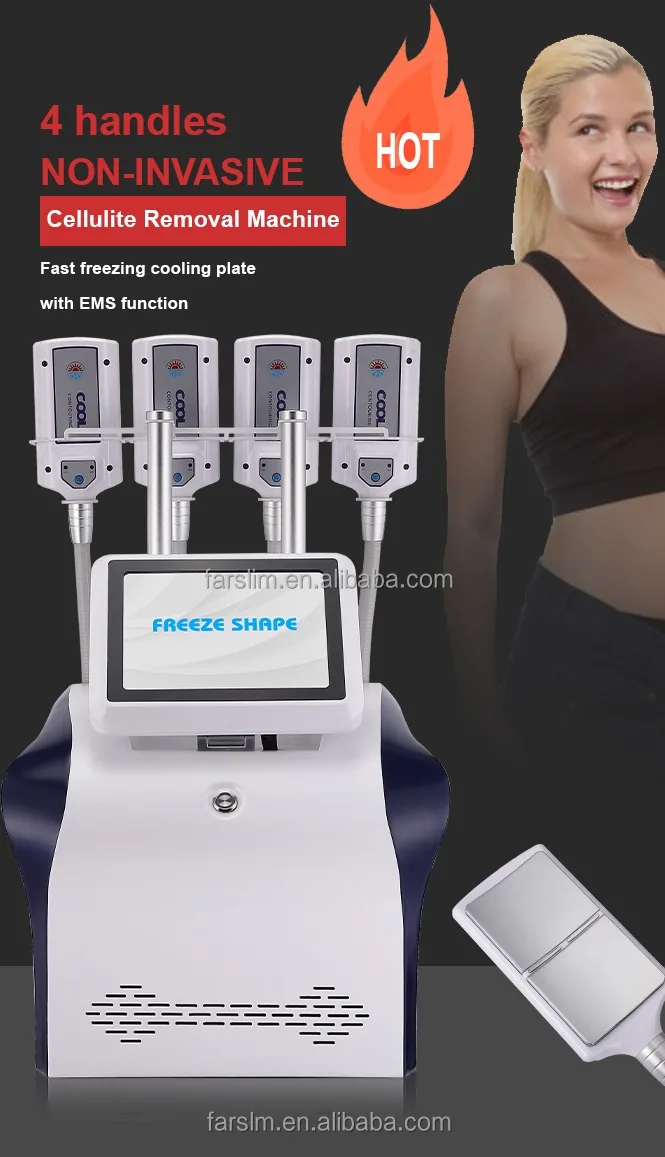 Farslim 4 Handles Cryolipolyse Fat Cooling Body Slimming Cryotherapy ...