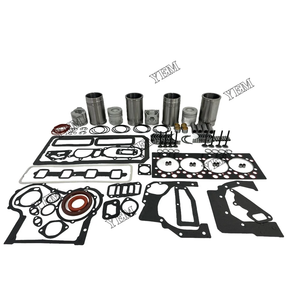 YL4102D Overhaul Kit for Yangdong Excavator Engine Part Overhaul Kit 2