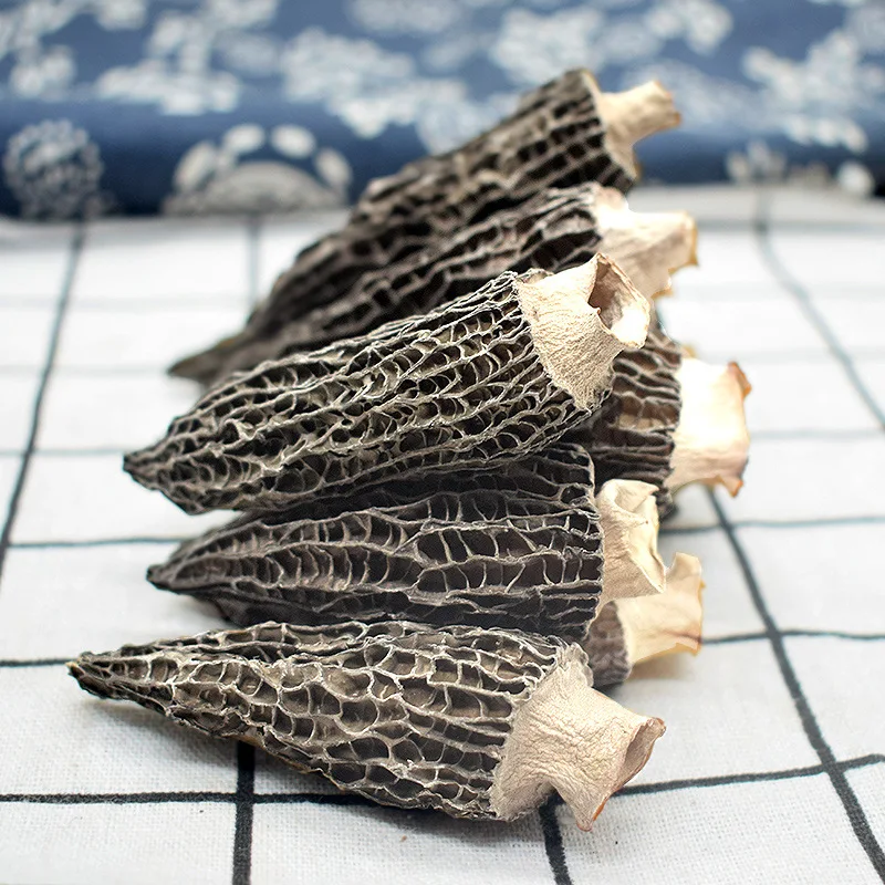 Wholesale Bulk Morel Mushroom - Dried Black Morel