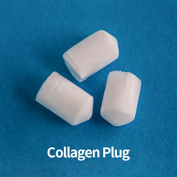 disposable Collagen Plug  Dental absorbable sponge Can be customized manufacture