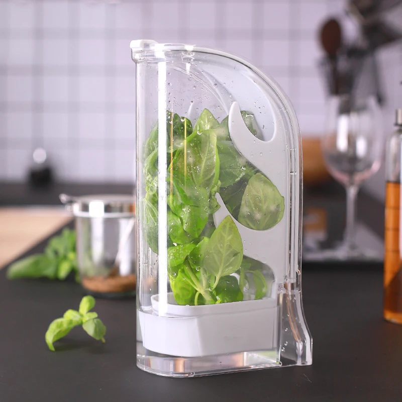 Fresh Herb Saver Container Clear Best Keeper For Freshest Produce Savor