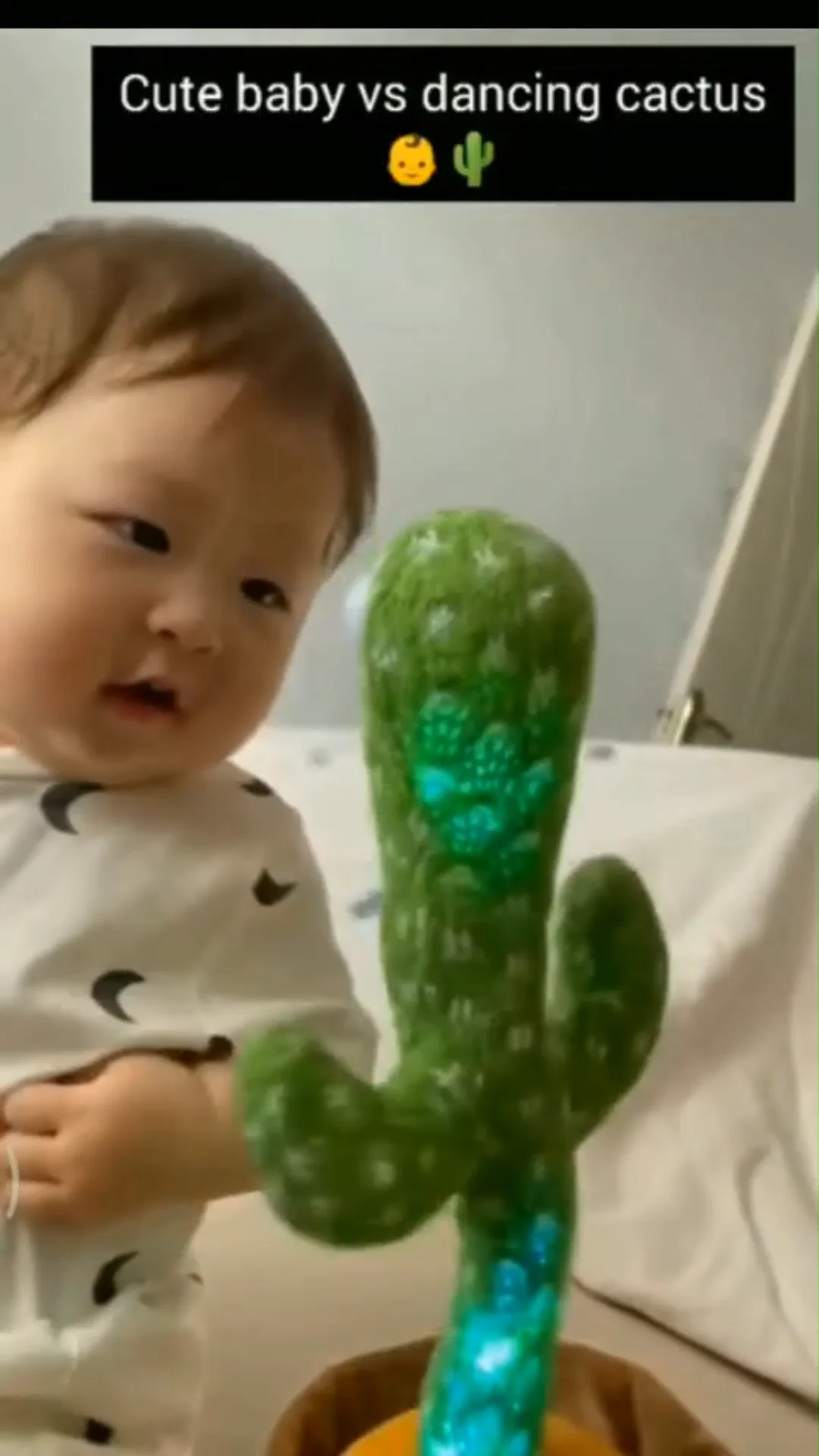 tik tok cactus toy