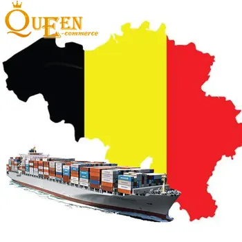 Fcl Lcl Ocean Shipping China to Belgium Ddp Land Transport Agent by Europe Rail Service Air Transportation Door to Door Shipping
