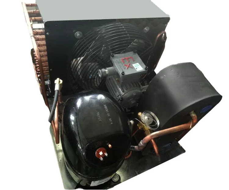 Condensing Unit for Cold Room Storage TAG2516ZBR R404A Compressor 4HP Low Temperature Cold Room air Cooled Condensing Unit