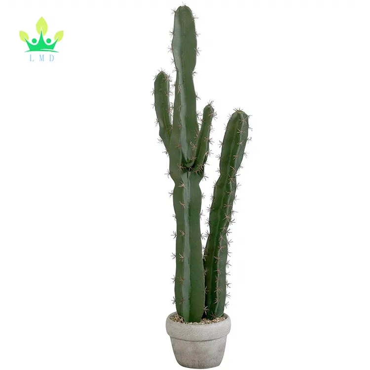 Exo Terra Desert Plant Saguaro Cactus 