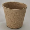 Pulpa