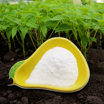 HIGH QUALITY MICRONUTRIENT BORON FERTILIZER PROMOTES PLANT GROWTH BORON POWDER FERTILIZER