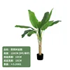 Banana tree, 120cm (comes with black base)