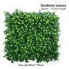 Green Gardenia Leaves