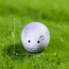 colorful Hamster No. 16 in prone position