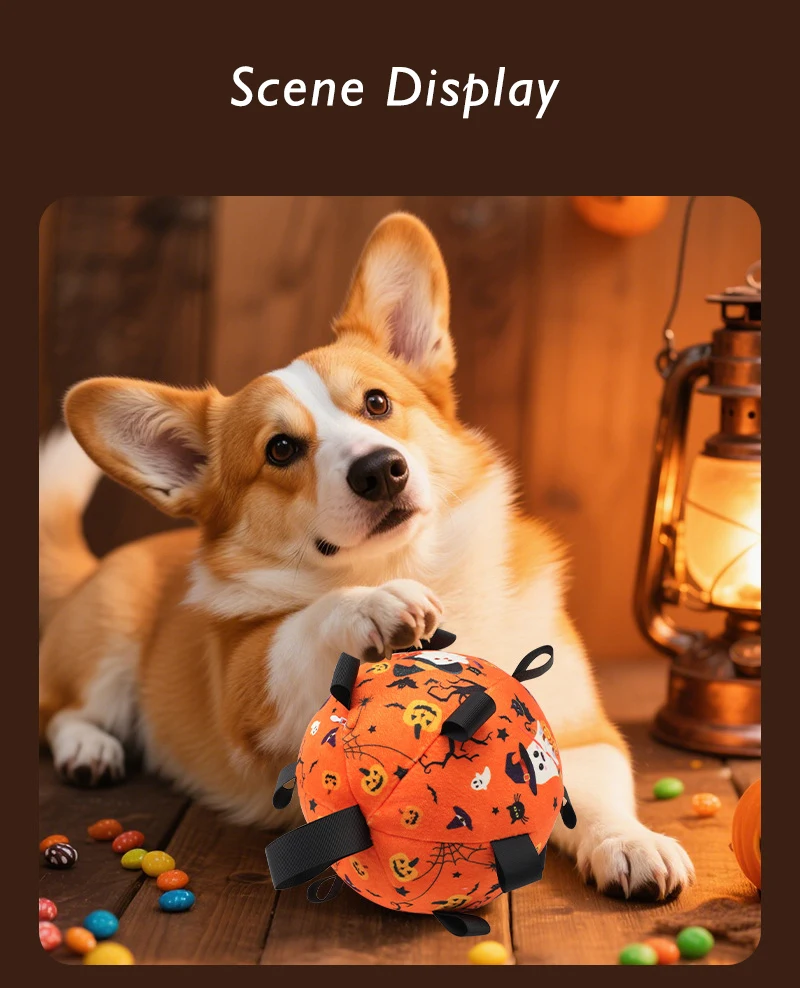 New Halloween Dog Toy Ball Dog Outdoor Football Toy Grinding Teeth Bite Relief Electric Bell Ball factory