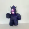 Noli
