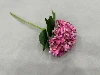 Rosa intenso
