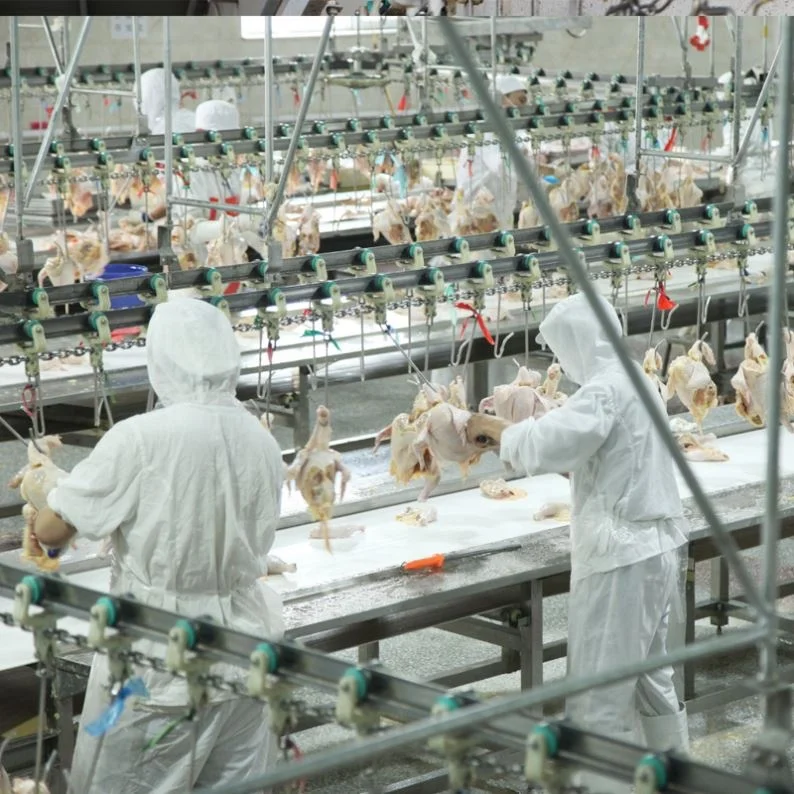 2000BPH Poultry Slaughter Line Chickens Process