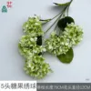 Hortensia Candy HN de 5 cabezas, verde claro, sin hojas