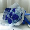 Yuxiang blu reale
