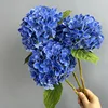 HH-Blu scuro