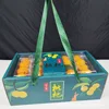 Set de regalo de nísperos verde oscuro, 2-3 jin (1.5-1.5 catties)