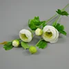 5 white petunias