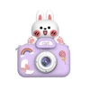 Purple rabbit