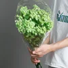 Vert clair