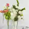 5#60cm Pink Green Ball