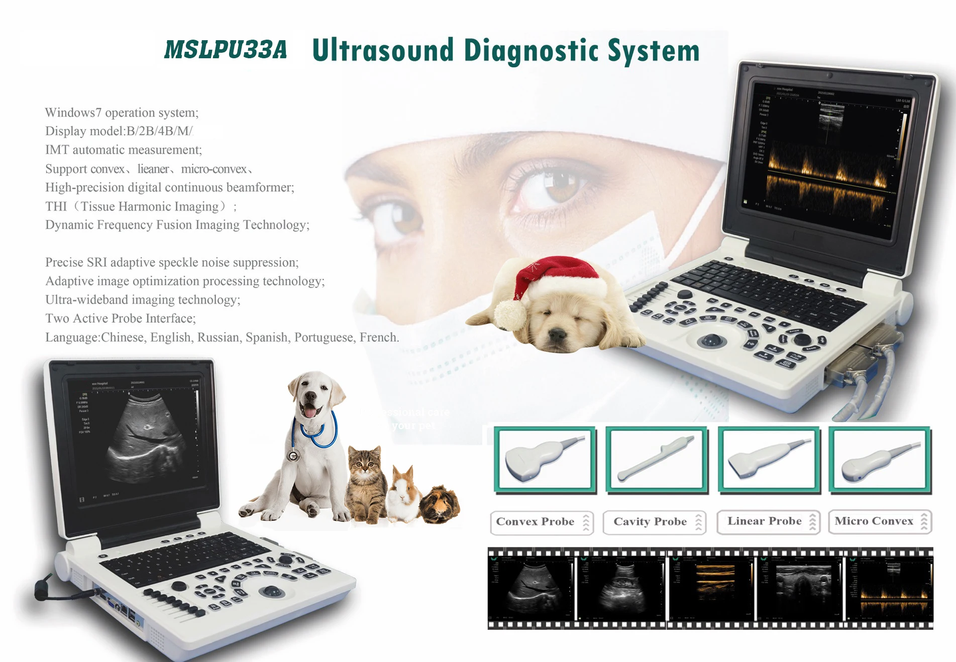 China Laptop Bw Ultrasound Machine,Diagnostic Ultrasound System For