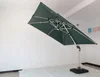Vert