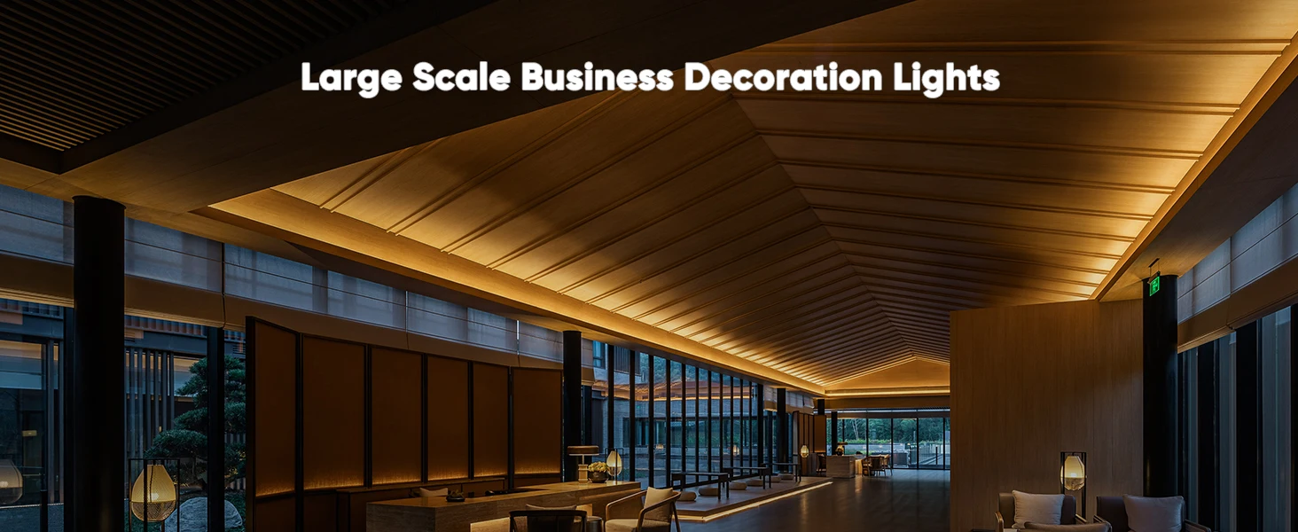 GMT-30LSTRIP-WW A+ (1)