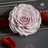 Rosa pallido