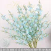 Orchidée dansante bleue à 5 pointes
