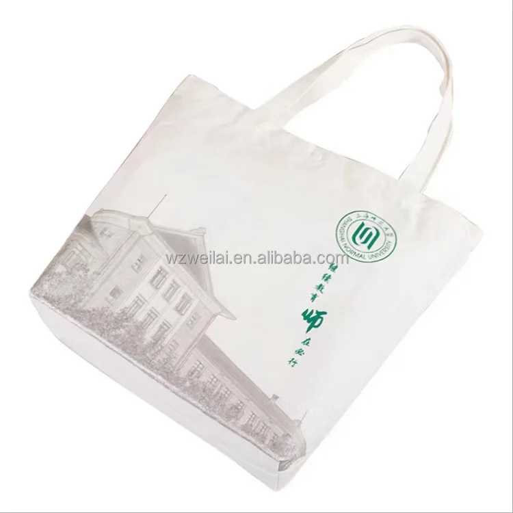 Embroidered White Canvas Bag