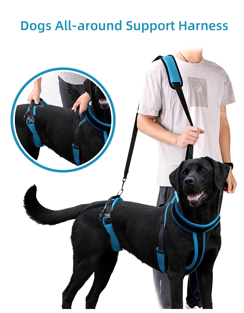 harness sling for dogs