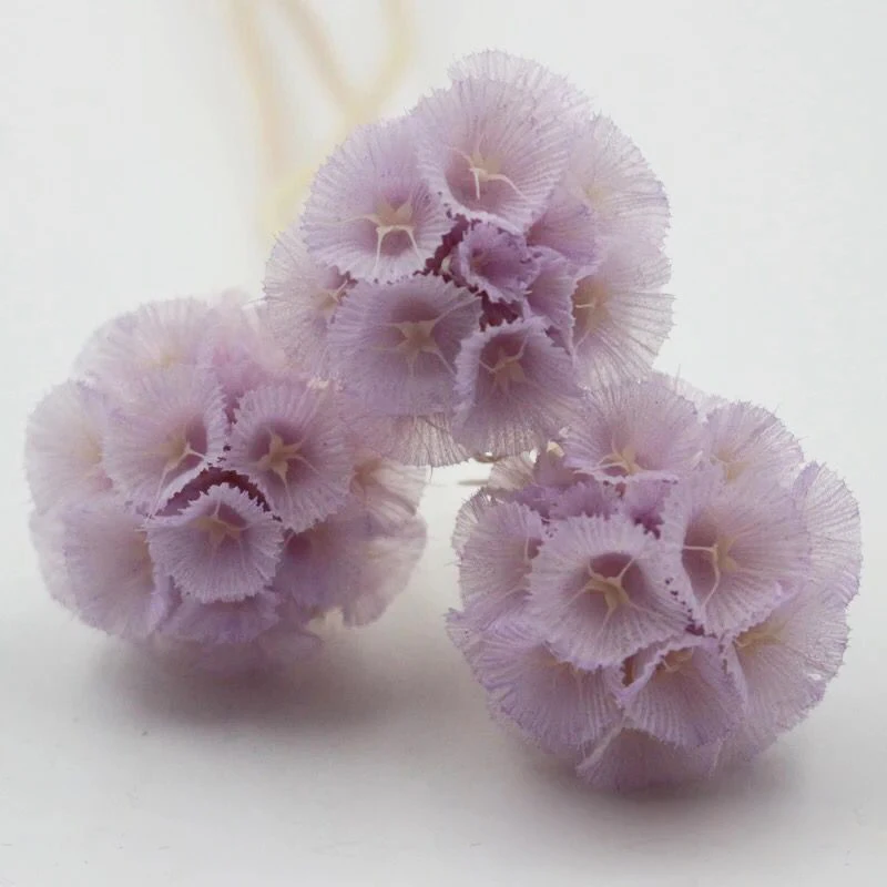 Flower Base Direct Sales Touch Candied Flowers Windmill Fruit Pristimera Cambodia Flowers