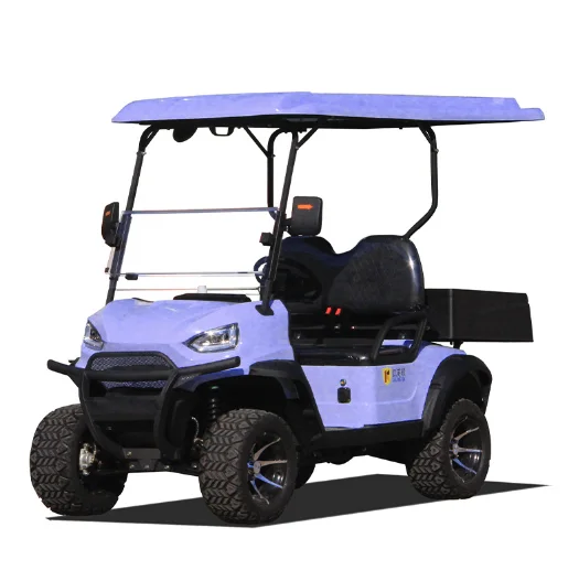 Chariot à outils utilitaire électrique à vendre à chaud 2024 Parison Chariots de golf polyvalents 2025SDZX12PTPR26101