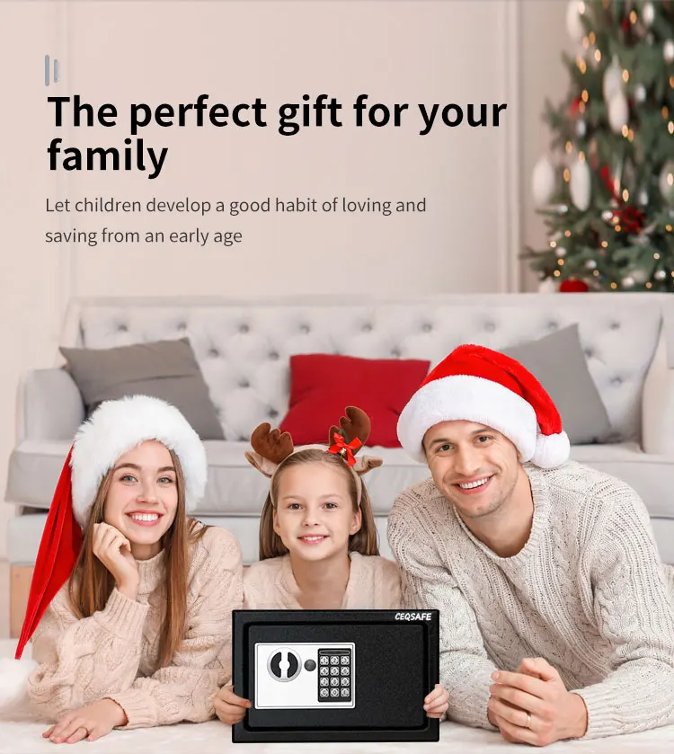 CEQSAFE 2025 Hot Selling Smart Electronic Digital Security Locks Mini Safe Box supplier