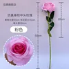 Pink single-stem medium-sized rose