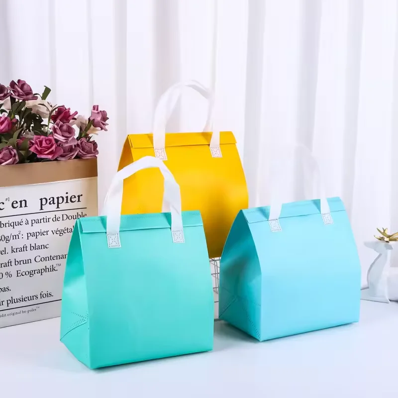 Portable Food Delivery PP Non Woven Insulated Thermal Lunch Cooler Bag 20L 150g Zipper Closure Customized Logo Eco Friendly