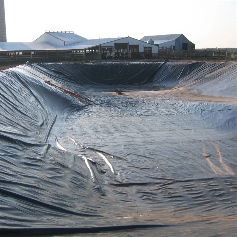 High Density Polyethylene 2mm HDPE Geomembrane Liner