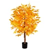 Árbol de baniano amarillo de 1 metro