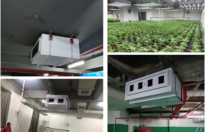 Vertical Growing Dehumidifier, Ceiling, Ducted - detail 18