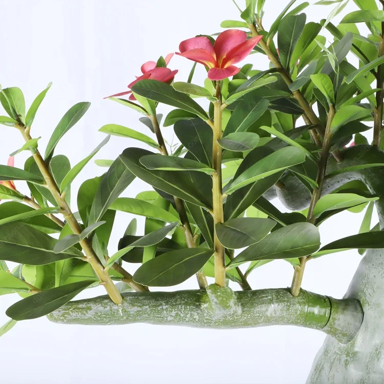 Popular Landscape Plants Adenium Obesum Desert Rose Potted Artificial Plant