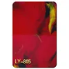 Ly-805 - support de personnalisation-805 - casting